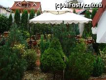 [P02] Gradina (desi era octombrie) » foto by mijatovic1969*
 - 
<span class="allrVoted glyphicon glyphicon-heart hidden" id="av187230"></span>
<a class="m-l-10 hidden" id="sv187230" onclick="voting_Foto_DelVot(,187230,2681)" role="button">șterge vot <span class="glyphicon glyphicon-remove"></span></a>
<a id="v9187230" class=" c-red"  onclick="voting_Foto_SetVot(187230)" role="button"><span class="glyphicon glyphicon-heart-empty"></span> <b>LIKE</b> = Votează poza</a> <img class="hidden"  id="f187230W9" src="/imagini/loader.gif" border="0" /><span class="AjErrMes hidden" id="e187230ErM"></span>