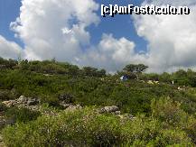 [P11]  -- <small>// FĂRĂ DESCRIERE</small> » foto by Dicomes*
 - 
<span class="allrVoted glyphicon glyphicon-heart hidden" id="av88349"></span>
<a class="m-l-10 hidden" id="sv88349" onclick="voting_Foto_DelVot(,88349,2758)" role="button">șterge vot <span class="glyphicon glyphicon-remove"></span></a>
<a id="v988349" class=" c-red"  onclick="voting_Foto_SetVot(88349)" role="button"><span class="glyphicon glyphicon-heart-empty"></span> <b>LIKE</b> = Votează poza</a> <img class="hidden"  id="f88349W9" src="/imagini/loader.gif" border="0" /><span class="AjErrMes hidden" id="e88349ErM"></span>