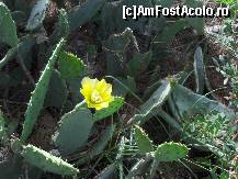 [P02]  -- <small>// FĂRĂ DESCRIERE</small> » foto by Dicomes*
 - 
<span class="allrVoted glyphicon glyphicon-heart hidden" id="av88329"></span>
<a class="m-l-10 hidden" id="sv88329" onclick="voting_Foto_DelVot(,88329,2758)" role="button">șterge vot <span class="glyphicon glyphicon-remove"></span></a>
<a id="v988329" class=" c-red"  onclick="voting_Foto_SetVot(88329)" role="button"><span class="glyphicon glyphicon-heart-empty"></span> <b>LIKE</b> = Votează poza</a> <img class="hidden"  id="f88329W9" src="/imagini/loader.gif" border="0" /><span class="AjErrMes hidden" id="e88329ErM"></span>