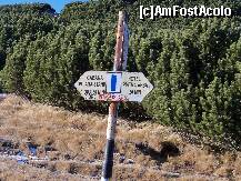 [P19] Trasee ce pornesc de la Piatra Arsa » foto by Lumis66
 - 
<span class="allrVoted glyphicon glyphicon-heart hidden" id="av274967"></span>
<a class="m-l-10 hidden" id="sv274967" onclick="voting_Foto_DelVot(,274967,2837)" role="button">șterge vot <span class="glyphicon glyphicon-remove"></span></a>
<a id="v9274967" class=" c-red"  onclick="voting_Foto_SetVot(274967)" role="button"><span class="glyphicon glyphicon-heart-empty"></span> <b>LIKE</b> = Votează poza</a> <img class="hidden"  id="f274967W9" src="/imagini/loader.gif" border="0" /><span class="AjErrMes hidden" id="e274967ErM"></span>