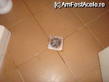 [P02]  -- <small>// FĂRĂ DESCRIERE</small> » foto by ELENA1
 - 
<span class="allrVoted glyphicon glyphicon-heart hidden" id="av67915"></span>
<a class="m-l-10 hidden" id="sv67915" onclick="voting_Foto_DelVot(,67915,3324)" role="button">șterge vot <span class="glyphicon glyphicon-remove"></span></a>
<a id="v967915" class=" c-red"  onclick="voting_Foto_SetVot(67915)" role="button"><span class="glyphicon glyphicon-heart-empty"></span> <b>LIKE</b> = Votează poza</a> <img class="hidden"  id="f67915W9" src="/imagini/loader.gif" border="0" /><span class="AjErrMes hidden" id="e67915ErM"></span>