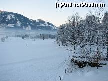 [P07]  -- <small>// FĂRĂ DESCRIERE</small> » foto by lizuk
 - 
<span class="allrVoted glyphicon glyphicon-heart hidden" id="av23957"></span>
<a class="m-l-10 hidden" id="sv23957" onclick="voting_Foto_DelVot(,23957,3697)" role="button">șterge vot <span class="glyphicon glyphicon-remove"></span></a>
<a id="v923957" class=" c-red"  onclick="voting_Foto_SetVot(23957)" role="button"><span class="glyphicon glyphicon-heart-empty"></span> <b>LIKE</b> = Votează poza</a> <img class="hidden"  id="f23957W9" src="/imagini/loader.gif" border="0" /><span class="AjErrMes hidden" id="e23957ErM"></span>