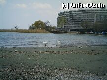 [P2x]  -- <small>// FĂRĂ DESCRIERE</small> » foto by Nicu
 - 
<span class="allrVoted glyphicon glyphicon-heart hidden" id="av242"></span>
<a class="m-l-10 hidden" id="sv242" onclick="voting_Foto_DelVot(,242,381)" role="button">șterge vot <span class="glyphicon glyphicon-remove"></span></a>
<a id="v9242" class=" c-red"  onclick="voting_Foto_SetVot(242)" role="button"><span class="glyphicon glyphicon-heart-empty"></span> <b>LIKE</b> = Votează poza</a> <img class="hidden"  id="f242W9" src="/imagini/loader.gif" border="0" /><span class="AjErrMes hidden" id="e242ErM"></span>