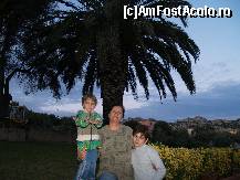 [P15] Unul din palmierii din gradina » foto by pepsi70ro
 - 
<span class="allrVoted glyphicon glyphicon-heart hidden" id="av39183"></span>
<a class="m-l-10 hidden" id="sv39183" onclick="voting_Foto_DelVot(,39183,4447)" role="button">șterge vot <span class="glyphicon glyphicon-remove"></span></a>
<a id="v939183" class=" c-red"  onclick="voting_Foto_SetVot(39183)" role="button"><span class="glyphicon glyphicon-heart-empty"></span> <b>LIKE</b> = Votează poza</a> <img class="hidden"  id="f39183W9" src="/imagini/loader.gif" border="0" /><span class="AjErrMes hidden" id="e39183ErM"></span>