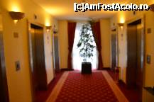 [P12] Din pacate calitatea fotografiei nu e grozava » foto by elenahelen
 - 
<span class="allrVoted glyphicon glyphicon-heart hidden" id="av305015"></span>
<a class="m-l-10 hidden" id="sv305015" onclick="voting_Foto_DelVot(,305015,4462)" role="button">șterge vot <span class="glyphicon glyphicon-remove"></span></a>
<a id="v9305015" class=" c-red"  onclick="voting_Foto_SetVot(305015)" role="button"><span class="glyphicon glyphicon-heart-empty"></span> <b>LIKE</b> = Votează poza</a> <img class="hidden"  id="f305015W9" src="/imagini/loader.gif" border="0" /><span class="AjErrMes hidden" id="e305015ErM"></span>