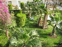 [P01] vedere din balcon asupra minunatei gradini a hotelului » foto by bubica*
 - 
<span class="allrVoted glyphicon glyphicon-heart hidden" id="av9394"></span>
<a class="m-l-10 hidden" id="sv9394" onclick="voting_Foto_DelVot(,9394,721)" role="button">șterge vot <span class="glyphicon glyphicon-remove"></span></a>
<a id="v99394" class=" c-red"  onclick="voting_Foto_SetVot(9394)" role="button"><span class="glyphicon glyphicon-heart-empty"></span> <b>LIKE</b> = Votează poza</a> <img class="hidden"  id="f9394W9" src="/imagini/loader.gif" border="0" /><span class="AjErrMes hidden" id="e9394ErM"></span>