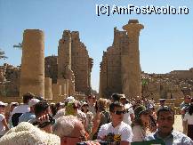 [P05] Luxor templul Karnak  » foto by bubica*
 - 
<span class="allrVoted glyphicon glyphicon-heart hidden" id="av9398"></span>
<a class="m-l-10 hidden" id="sv9398" onclick="voting_Foto_DelVot(,9398,721)" role="button">șterge vot <span class="glyphicon glyphicon-remove"></span></a>
<a id="v99398" class=" c-red"  onclick="voting_Foto_SetVot(9398)" role="button"><span class="glyphicon glyphicon-heart-empty"></span> <b>LIKE</b> = Votează poza</a> <img class="hidden"  id="f9398W9" src="/imagini/loader.gif" border="0" /><span class="AjErrMes hidden" id="e9398ErM"></span>