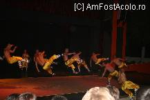 [P07] In fiecare seara pe scena principala era cate un spectacol. Cel mai impresionant a fost cel al shaolin-ilor » foto by alexandruduma
 - 
<span class="allrVoted glyphicon glyphicon-heart hidden" id="av19623"></span>
<a class="m-l-10 hidden" id="sv19623" onclick="voting_Foto_DelVot(,19623,100)" role="button">șterge vot <span class="glyphicon glyphicon-remove"></span></a>
<a id="v919623" class=" c-red"  onclick="voting_Foto_SetVot(19623)" role="button"><span class="glyphicon glyphicon-heart-empty"></span> <b>LIKE</b> = Votează poza</a> <img class="hidden"  id="f19623W9" src="/imagini/loader.gif" border="0" /><span class="AjErrMes hidden" id="e19623ErM"></span>