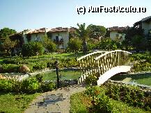 [P03] bungalouri » foto by andreea72
 - 
<span class="allrVoted glyphicon glyphicon-heart hidden" id="av11006"></span>
<a class="m-l-10 hidden" id="sv11006" onclick="voting_Foto_DelVot(,11006,11)" role="button">șterge vot <span class="glyphicon glyphicon-remove"></span></a>
<a id="v911006" class=" c-red"  onclick="voting_Foto_SetVot(11006)" role="button"><span class="glyphicon glyphicon-heart-empty"></span> <b>LIKE</b> = Votează poza</a> <img class="hidden"  id="f11006W9" src="/imagini/loader.gif" border="0" /><span class="AjErrMes hidden" id="e11006ErM"></span>