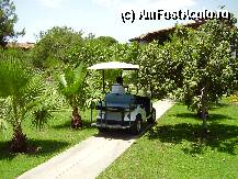 [P08] masinuta de glof cu care erai dus la bungalouri  » foto by andreea72
 - 
<span class="allrVoted glyphicon glyphicon-heart hidden" id="av11012"></span>
<a class="m-l-10 hidden" id="sv11012" onclick="voting_Foto_DelVot(,11012,11)" role="button">șterge vot <span class="glyphicon glyphicon-remove"></span></a>
<a id="v911012" class=" c-red"  onclick="voting_Foto_SetVot(11012)" role="button"><span class="glyphicon glyphicon-heart-empty"></span> <b>LIKE</b> = Votează poza</a> <img class="hidden"  id="f11012W9" src="/imagini/loader.gif" border="0" /><span class="AjErrMes hidden" id="e11012ErM"></span>