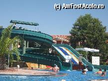 [P09] Topoganele... » foto by danusika
 - 
<span class="allrVoted glyphicon glyphicon-heart hidden" id="av13743"></span>
<a class="m-l-10 hidden" id="sv13743" onclick="voting_Foto_DelVot(,13743,11)" role="button">șterge vot <span class="glyphicon glyphicon-remove"></span></a>
<a id="v913743" class=" c-red"  onclick="voting_Foto_SetVot(13743)" role="button"><span class="glyphicon glyphicon-heart-empty"></span> <b>LIKE</b> = Votează poza</a> <img class="hidden"  id="f13743W9" src="/imagini/loader.gif" border="0" /><span class="AjErrMes hidden" id="e13743ErM"></span>