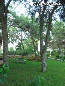 [P01]  -- <small>// FĂRĂ DESCRIERE</small> » foto by soreno29
 - 
<span class="allrVoted glyphicon glyphicon-heart hidden" id="av10131"></span>
<a class="m-l-10 hidden" id="sv10131" onclick="voting_Foto_DelVot(,10131,11)" role="button">șterge vot <span class="glyphicon glyphicon-remove"></span></a>
<a id="v910131" class=" c-red"  onclick="voting_Foto_SetVot(10131)" role="button"><span class="glyphicon glyphicon-heart-empty"></span> <b>LIKE</b> = Votează poza</a> <img class="hidden"  id="f10131W9" src="/imagini/loader.gif" border="0" /><span class="AjErrMes hidden" id="e10131ErM"></span>