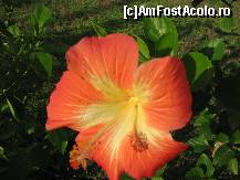 [P02]  -- <small>// FĂRĂ DESCRIERE</small> » foto by liviu-cj
 - 
<span class="allrVoted glyphicon glyphicon-heart hidden" id="av17188"></span>
<a class="m-l-10 hidden" id="sv17188" onclick="voting_Foto_DelVot(,17188,16)" role="button">șterge vot <span class="glyphicon glyphicon-remove"></span></a>
<a id="v917188" class=" c-red"  onclick="voting_Foto_SetVot(17188)" role="button"><span class="glyphicon glyphicon-heart-empty"></span> <b>LIKE</b> = Votează poza</a> <img class="hidden"  id="f17188W9" src="/imagini/loader.gif" border="0" /><span class="AjErrMes hidden" id="e17188ErM"></span>