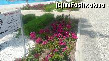 [P12]  -- <small>// FĂRĂ DESCRIERE</small> » foto by celeste
 - 
<span class="allrVoted glyphicon glyphicon-heart hidden" id="av92120"></span>
<a class="m-l-10 hidden" id="sv92120" onclick="voting_Foto_DelVot(,92120,175)" role="button">șterge vot <span class="glyphicon glyphicon-remove"></span></a>
<a id="v992120" class=" c-red"  onclick="voting_Foto_SetVot(92120)" role="button"><span class="glyphicon glyphicon-heart-empty"></span> <b>LIKE</b> = Votează poza</a> <img class="hidden"  id="f92120W9" src="/imagini/loader.gif" border="0" /><span class="AjErrMes hidden" id="e92120ErM"></span>