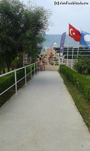 [P03] plajă cu steag albastru un mare atu » foto by sebigeanina
 - 
<span class="allrVoted glyphicon glyphicon-heart hidden" id="av536680"></span>
<a class="m-l-10 hidden" id="sv536680" onclick="voting_Foto_DelVot(,536680,188)" role="button">șterge vot <span class="glyphicon glyphicon-remove"></span></a>
<a id="v9536680" class=" c-red"  onclick="voting_Foto_SetVot(536680)" role="button"><span class="glyphicon glyphicon-heart-empty"></span> <b>LIKE</b> = Votează poza</a> <img class="hidden"  id="f536680W9" src="/imagini/loader.gif" border="0" /><span class="AjErrMes hidden" id="e536680ErM"></span>