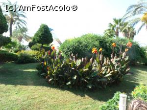 [P12]  -- <small>// FĂRĂ DESCRIERE</small> » foto by mariuscfar
 - 
<span class="allrVoted glyphicon glyphicon-heart hidden" id="av789655"></span>
<a class="m-l-10 hidden" id="sv789655" onclick="voting_Foto_DelVot(,789655,198)" role="button">șterge vot <span class="glyphicon glyphicon-remove"></span></a>
<a id="v9789655" class=" c-red"  onclick="voting_Foto_SetVot(789655)" role="button"><span class="glyphicon glyphicon-heart-empty"></span> <b>LIKE</b> = Votează poza</a> <img class="hidden"  id="f789655W9" src="/imagini/loader.gif" border="0" /><span class="AjErrMes hidden" id="e789655ErM"></span>
