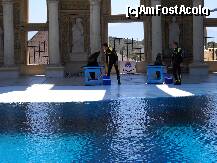 [P37] BUNA VREMEA COPII ! » foto by profudistrat
 - 
<span class="allrVoted glyphicon glyphicon-heart hidden" id="av236223"></span>
<a class="m-l-10 hidden" id="sv236223" onclick="voting_Foto_DelVot(,236223,20)" role="button">șterge vot <span class="glyphicon glyphicon-remove"></span></a>
<a id="v9236223" class=" c-red"  onclick="voting_Foto_SetVot(236223)" role="button"><span class="glyphicon glyphicon-heart-empty"></span> <b>LIKE</b> = Votează poza</a> <img class="hidden"  id="f236223W9" src="/imagini/loader.gif" border="0" /><span class="AjErrMes hidden" id="e236223ErM"></span>