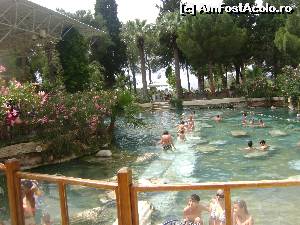 [P14] piscin Cleopatrei » foto by simona_vlad
 - 
<span class="allrVoted glyphicon glyphicon-heart hidden" id="av518953"></span>
<a class="m-l-10 hidden" id="sv518953" onclick="voting_Foto_DelVot(,518953,20)" role="button">șterge vot <span class="glyphicon glyphicon-remove"></span></a>
<a id="v9518953" class=" c-red"  onclick="voting_Foto_SetVot(518953)" role="button"><span class="glyphicon glyphicon-heart-empty"></span> <b>LIKE</b> = Votează poza</a> <img class="hidden"  id="f518953W9" src="/imagini/loader.gif" border="0" /><span class="AjErrMes hidden" id="e518953ErM"></span>