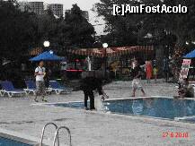 [P46] mireasa in piscina » foto by cosminp
 - 
<span class="allrVoted glyphicon glyphicon-heart hidden" id="av162237"></span>
<a class="m-l-10 hidden" id="sv162237" onclick="voting_Foto_DelVot(,162237,20)" role="button">șterge vot <span class="glyphicon glyphicon-remove"></span></a>
<a id="v9162237" class=" c-red"  onclick="voting_Foto_SetVot(162237)" role="button"><span class="glyphicon glyphicon-heart-empty"></span> <b>LIKE</b> = Votează poza</a> <img class="hidden"  id="f162237W9" src="/imagini/loader.gif" border="0" /><span class="AjErrMes hidden" id="e162237ErM"></span>