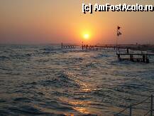 [P08]  -- <small>// FĂRĂ DESCRIERE</small> » foto by sator
 - 
<span class="allrVoted glyphicon glyphicon-heart hidden" id="av8291"></span>
<a class="m-l-10 hidden" id="sv8291" onclick="voting_Foto_DelVot(,8291,203)" role="button">șterge vot <span class="glyphicon glyphicon-remove"></span></a>
<a id="v98291" class=" c-red"  onclick="voting_Foto_SetVot(8291)" role="button"><span class="glyphicon glyphicon-heart-empty"></span> <b>LIKE</b> = Votează poza</a> <img class="hidden"  id="f8291W9" src="/imagini/loader.gif" border="0" /><span class="AjErrMes hidden" id="e8291ErM"></span>