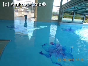 [P41] şi în piscină apa era foarte curată » foto by zlatna
 - 
<span class="allrVoted glyphicon glyphicon-heart hidden" id="av983167"></span>
<a class="m-l-10 hidden" id="sv983167" onclick="voting_Foto_DelVot(,983167,208)" role="button">șterge vot <span class="glyphicon glyphicon-remove"></span></a>
<a id="v9983167" class=" c-red"  onclick="voting_Foto_SetVot(983167)" role="button"><span class="glyphicon glyphicon-heart-empty"></span> <b>LIKE</b> = Votează poza</a> <img class="hidden"  id="f983167W9" src="/imagini/loader.gif" border="0" /><span class="AjErrMes hidden" id="e983167ErM"></span>