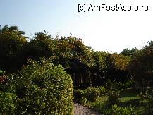 [P27] alee umbroasa prin gradina » foto by nicole33
 - 
<span class="allrVoted glyphicon glyphicon-heart hidden" id="av192305"></span>
<a class="m-l-10 hidden" id="sv192305" onclick="voting_Foto_DelVot(,192305,211)" role="button">șterge vot <span class="glyphicon glyphicon-remove"></span></a>
<a id="v9192305" class=" c-red"  onclick="voting_Foto_SetVot(192305)" role="button"><span class="glyphicon glyphicon-heart-empty"></span> <b>LIKE</b> = Votează poza</a> <img class="hidden"  id="f192305W9" src="/imagini/loader.gif" border="0" /><span class="AjErrMes hidden" id="e192305ErM"></span>