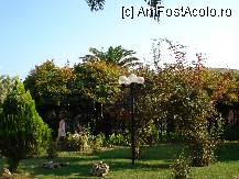 [P31] aceeasi gradina super » foto by nicole33
 - 
<span class="allrVoted glyphicon glyphicon-heart hidden" id="av192309"></span>
<a class="m-l-10 hidden" id="sv192309" onclick="voting_Foto_DelVot(,192309,211)" role="button">șterge vot <span class="glyphicon glyphicon-remove"></span></a>
<a id="v9192309" class=" c-red"  onclick="voting_Foto_SetVot(192309)" role="button"><span class="glyphicon glyphicon-heart-empty"></span> <b>LIKE</b> = Votează poza</a> <img class="hidden"  id="f192309W9" src="/imagini/loader.gif" border="0" /><span class="AjErrMes hidden" id="e192309ErM"></span>