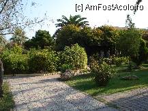 [P33] alee prin gradina » foto by nicole33
 - 
<span class="allrVoted glyphicon glyphicon-heart hidden" id="av192311"></span>
<a class="m-l-10 hidden" id="sv192311" onclick="voting_Foto_DelVot(,192311,211)" role="button">șterge vot <span class="glyphicon glyphicon-remove"></span></a>
<a id="v9192311" class=" c-red"  onclick="voting_Foto_SetVot(192311)" role="button"><span class="glyphicon glyphicon-heart-empty"></span> <b>LIKE</b> = Votează poza</a> <img class="hidden"  id="f192311W9" src="/imagini/loader.gif" border="0" /><span class="AjErrMes hidden" id="e192311ErM"></span>