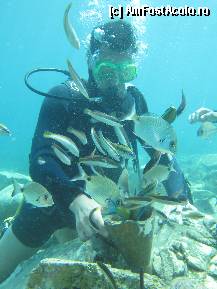 [P14] Scuba Diving- Kusadasi » foto by andreea_kamelya
 - 
<span class="allrVoted glyphicon glyphicon-heart hidden" id="av295946"></span>
<a class="m-l-10 hidden" id="sv295946" onclick="voting_Foto_DelVot(,295946,217)" role="button">șterge vot <span class="glyphicon glyphicon-remove"></span></a>
<a id="v9295946" class=" c-red"  onclick="voting_Foto_SetVot(295946)" role="button"><span class="glyphicon glyphicon-heart-empty"></span> <b>LIKE</b> = Votează poza</a> <img class="hidden"  id="f295946W9" src="/imagini/loader.gif" border="0" /><span class="AjErrMes hidden" id="e295946ErM"></span>