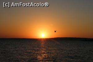 [P10] Primul rasarit de soare, la ora 5 dimineata.  » foto by dorgo
 - 
<span class="allrVoted glyphicon glyphicon-heart hidden" id="av1072435"></span>
<a class="m-l-10 hidden" id="sv1072435" onclick="voting_Foto_DelVot(,1072435,24)" role="button">șterge vot <span class="glyphicon glyphicon-remove"></span></a>
<a id="v91072435" class=" c-red"  onclick="voting_Foto_SetVot(1072435)" role="button"><span class="glyphicon glyphicon-heart-empty"></span> <b>LIKE</b> = Votează poza</a> <img class="hidden"  id="f1072435W9" src="/imagini/loader.gif" border="0" /><span class="AjErrMes hidden" id="e1072435ErM"></span>