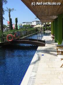 [P01]  -- <small>// FĂRĂ DESCRIERE</small> » foto by Delphinash
 - 
<span class="allrVoted glyphicon glyphicon-heart hidden" id="av9731"></span>
<a class="m-l-10 hidden" id="sv9731" onclick="voting_Foto_DelVot(,9731,266)" role="button">șterge vot <span class="glyphicon glyphicon-remove"></span></a>
<a id="v99731" class=" c-red"  onclick="voting_Foto_SetVot(9731)" role="button"><span class="glyphicon glyphicon-heart-empty"></span> <b>LIKE</b> = Votează poza</a> <img class="hidden"  id="f9731W9" src="/imagini/loader.gif" border="0" /><span class="AjErrMes hidden" id="e9731ErM"></span>