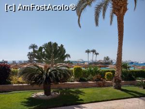 [P09] Plimbare pe aleile din curtea hotelului. vedere spre mare. » foto by maryka
 - 
<span class="allrVoted glyphicon glyphicon-heart hidden" id="av1221598"></span>
<a class="m-l-10 hidden" id="sv1221598" onclick="voting_Foto_DelVot(,1221598,31)" role="button">șterge vot <span class="glyphicon glyphicon-remove"></span></a>
<a id="v91221598" class=" c-red"  onclick="voting_Foto_SetVot(1221598)" role="button"><span class="glyphicon glyphicon-heart-empty"></span> <b>LIKE</b> = Votează poza</a> <img class="hidden"  id="f1221598W9" src="/imagini/loader.gif" border="0" /><span class="AjErrMes hidden" id="e1221598ErM"></span>