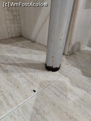 [P02] G&acirc;ndacul și o parte din rugina prezenta pe mobilierul din baie » foto by ux127111
 - 
<span class="allrVoted glyphicon glyphicon-heart hidden" id="av1322783"></span>
<a class="m-l-10 hidden" id="sv1322783" onclick="voting_Foto_DelVot(,1322783,349)" role="button">șterge vot <span class="glyphicon glyphicon-remove"></span></a>
<a id="v91322783" class=" c-red"  onclick="voting_Foto_SetVot(1322783)" role="button"><span class="glyphicon glyphicon-heart-empty"></span> <b>LIKE</b> = Votează poza</a> <img class="hidden"  id="f1322783W9" src="/imagini/loader.gif" border="0" /><span class="AjErrMes hidden" id="e1322783ErM"></span>