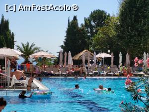 [P03] Piscina exterioara si marea in fundal » foto by Musad
 - 
<span class="allrVoted glyphicon glyphicon-heart hidden" id="av1380419"></span>
<a class="m-l-10 hidden" id="sv1380419" onclick="voting_Foto_DelVot(,1380419,349)" role="button">șterge vot <span class="glyphicon glyphicon-remove"></span></a>
<a id="v91380419" class=" c-red"  onclick="voting_Foto_SetVot(1380419)" role="button"><span class="glyphicon glyphicon-heart-empty"></span> <b>LIKE</b> = Votează poza</a> <img class="hidden"  id="f1380419W9" src="/imagini/loader.gif" border="0" /><span class="AjErrMes hidden" id="e1380419ErM"></span>