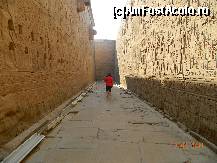 [P15] Templul de la Edfu - in stanga templul, in dreapta zidul inconjurator » foto by Pușcașu Marin
 - 
<span class="allrVoted glyphicon glyphicon-heart hidden" id="av385314"></span>
<a class="m-l-10 hidden" id="sv385314" onclick="voting_Foto_DelVot(,385314,351)" role="button">șterge vot <span class="glyphicon glyphicon-remove"></span></a>
<a id="v9385314" class=" c-red"  onclick="voting_Foto_SetVot(385314)" role="button"><span class="glyphicon glyphicon-heart-empty"></span> <b>LIKE</b> = Votează poza</a> <img class="hidden"  id="f385314W9" src="/imagini/loader.gif" border="0" /><span class="AjErrMes hidden" id="e385314ErM"></span>