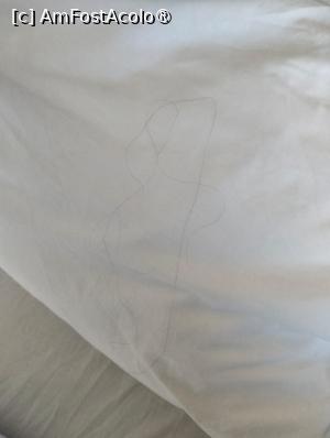 [P12] Vas Croaziera : Club Adventure Nile Cruise  5* » foto by mikym
 - 
<span class="allrVoted glyphicon glyphicon-heart hidden" id="av1472763"></span>
<a class="m-l-10 hidden" id="sv1472763" onclick="voting_Foto_DelVot(,1472763,351)" role="button">șterge vot <span class="glyphicon glyphicon-remove"></span></a>
<a id="v91472763" class=" c-red"  onclick="voting_Foto_SetVot(1472763)" role="button"><span class="glyphicon glyphicon-heart-empty"></span> <b>LIKE</b> = Votează poza</a> <img class="hidden"  id="f1472763W9" src="/imagini/loader.gif" border="0" /><span class="AjErrMes hidden" id="e1472763ErM"></span>
