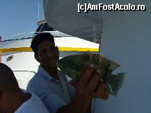 [P21] Toate culorile pentru pesti pescuiti » foto by artistul_18
 - 
<span class="allrVoted glyphicon glyphicon-heart hidden" id="av156341"></span>
<a class="m-l-10 hidden" id="sv156341" onclick="voting_Foto_DelVot(,156341,371)" role="button">șterge vot <span class="glyphicon glyphicon-remove"></span></a>
<a id="v9156341" class=" c-red"  onclick="voting_Foto_SetVot(156341)" role="button"><span class="glyphicon glyphicon-heart-empty"></span> <b>LIKE</b> = Votează poza</a> <img class="hidden"  id="f156341W9" src="/imagini/loader.gif" border="0" /><span class="AjErrMes hidden" id="e156341ErM"></span>