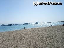 [P07] Plaja de pe insula Gifton » foto by artistul_18
 - 
<span class="allrVoted glyphicon glyphicon-heart hidden" id="av156327"></span>
<a class="m-l-10 hidden" id="sv156327" onclick="voting_Foto_DelVot(,156327,371)" role="button">șterge vot <span class="glyphicon glyphicon-remove"></span></a>
<a id="v9156327" class=" c-red"  onclick="voting_Foto_SetVot(156327)" role="button"><span class="glyphicon glyphicon-heart-empty"></span> <b>LIKE</b> = Votează poza</a> <img class="hidden"  id="f156327W9" src="/imagini/loader.gif" border="0" /><span class="AjErrMes hidden" id="e156327ErM"></span>