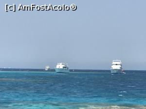 [P12] Paradise Island Plus - pe mare » foto by nicole33
 - 
<span class="allrVoted glyphicon glyphicon-heart hidden" id="av1028029"></span>
<a class="m-l-10 hidden" id="sv1028029" onclick="voting_Foto_DelVot(,1028029,371)" role="button">șterge vot <span class="glyphicon glyphicon-remove"></span></a>
<a id="v91028029" class=" c-red"  onclick="voting_Foto_SetVot(1028029)" role="button"><span class="glyphicon glyphicon-heart-empty"></span> <b>LIKE</b> = Votează poza</a> <img class="hidden"  id="f1028029W9" src="/imagini/loader.gif" border="0" /><span class="AjErrMes hidden" id="e1028029ErM"></span>