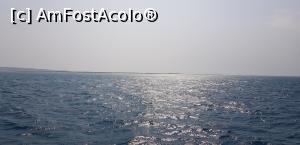 [P04] Paradise Island Plus - pe mare » foto by nicole33
 - 
<span class="allrVoted glyphicon glyphicon-heart hidden" id="av1028021"></span>
<a class="m-l-10 hidden" id="sv1028021" onclick="voting_Foto_DelVot(,1028021,371)" role="button">șterge vot <span class="glyphicon glyphicon-remove"></span></a>
<a id="v91028021" class=" c-red"  onclick="voting_Foto_SetVot(1028021)" role="button"><span class="glyphicon glyphicon-heart-empty"></span> <b>LIKE</b> = Votează poza</a> <img class="hidden"  id="f1028021W9" src="/imagini/loader.gif" border="0" /><span class="AjErrMes hidden" id="e1028021ErM"></span>