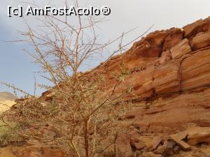 [P01] Canionul colorat &ndash; o minune a naturii - roci colorate » foto by nicole33
 - 
<span class="allrVoted glyphicon glyphicon-heart hidden" id="av1331298"></span>
<a class="m-l-10 hidden" id="sv1331298" onclick="voting_Foto_DelVot(,1331298,385)" role="button">șterge vot <span class="glyphicon glyphicon-remove"></span></a>
<a id="v91331298" class=" c-red"  onclick="voting_Foto_SetVot(1331298)" role="button"><span class="glyphicon glyphicon-heart-empty"></span> <b>LIKE</b> = Votează poza</a> <img class="hidden"  id="f1331298W9" src="/imagini/loader.gif" border="0" /><span class="AjErrMes hidden" id="e1331298ErM"></span>