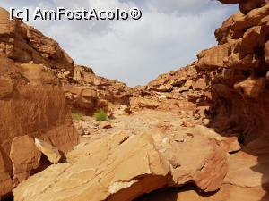 [P41] Canionul colorat &ndash; o minune a naturii, prin canion » foto by nicole33
 - 
<span class="allrVoted glyphicon glyphicon-heart hidden" id="av1331338"></span>
<a class="m-l-10 hidden" id="sv1331338" onclick="voting_Foto_DelVot(,1331338,385)" role="button">șterge vot <span class="glyphicon glyphicon-remove"></span></a>
<a id="v91331338" class=" c-red"  onclick="voting_Foto_SetVot(1331338)" role="button"><span class="glyphicon glyphicon-heart-empty"></span> <b>LIKE</b> = Votează poza</a> <img class="hidden"  id="f1331338W9" src="/imagini/loader.gif" border="0" /><span class="AjErrMes hidden" id="e1331338ErM"></span>