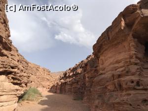 [P42] Canionul colorat &ndash; o minune a naturii, prin canion » foto by nicole33
 - 
<span class="allrVoted glyphicon glyphicon-heart hidden" id="av1331339"></span>
<a class="m-l-10 hidden" id="sv1331339" onclick="voting_Foto_DelVot(,1331339,385)" role="button">șterge vot <span class="glyphicon glyphicon-remove"></span></a>
<a id="v91331339" class=" c-red"  onclick="voting_Foto_SetVot(1331339)" role="button"><span class="glyphicon glyphicon-heart-empty"></span> <b>LIKE</b> = Votează poza</a> <img class="hidden"  id="f1331339W9" src="/imagini/loader.gif" border="0" /><span class="AjErrMes hidden" id="e1331339ErM"></span>