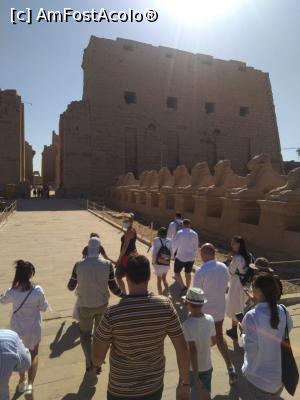 [P02] Temple of Karnak » foto by ghimescosmin
 - 
<span class="allrVoted glyphicon glyphicon-heart hidden" id="av1216650"></span>
<a class="m-l-10 hidden" id="sv1216650" onclick="voting_Foto_DelVot(,1216650,394)" role="button">șterge vot <span class="glyphicon glyphicon-remove"></span></a>
<a id="v91216650" class=" c-red"  onclick="voting_Foto_SetVot(1216650)" role="button"><span class="glyphicon glyphicon-heart-empty"></span> <b>LIKE</b> = Votează poza</a> <img class="hidden"  id="f1216650W9" src="/imagini/loader.gif" border="0" /><span class="AjErrMes hidden" id="e1216650ErM"></span>