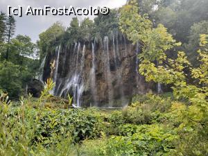[P13] Parcul national Plitvice » foto by MONITA
 - 
<span class="allrVoted glyphicon glyphicon-heart hidden" id="av1253240"></span>
<a class="m-l-10 hidden" id="sv1253240" onclick="voting_Foto_DelVot(,1253240,399)" role="button">șterge vot <span class="glyphicon glyphicon-remove"></span></a>
<a id="v91253240" class=" c-red"  onclick="voting_Foto_SetVot(1253240)" role="button"><span class="glyphicon glyphicon-heart-empty"></span> <b>LIKE</b> = Votează poza</a> <img class="hidden"  id="f1253240W9" src="/imagini/loader.gif" border="0" /><span class="AjErrMes hidden" id="e1253240ErM"></span>