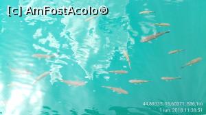 [P29] Parcul National Lacurile Plitvice.  » foto by Aurici
 - 
<span class="allrVoted glyphicon glyphicon-heart hidden" id="av1026542"></span>
<a class="m-l-10 hidden" id="sv1026542" onclick="voting_Foto_DelVot(,1026542,412)" role="button">șterge vot <span class="glyphicon glyphicon-remove"></span></a>
<a id="v91026542" class=" c-red"  onclick="voting_Foto_SetVot(1026542)" role="button"><span class="glyphicon glyphicon-heart-empty"></span> <b>LIKE</b> = Votează poza</a> <img class="hidden"  id="f1026542W9" src="/imagini/loader.gif" border="0" /><span class="AjErrMes hidden" id="e1026542ErM"></span>