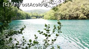 [P34] Parcul National Lacurile Plitvice - Lacul Kozjak.  » foto by Aurici
 - 
<span class="allrVoted glyphicon glyphicon-heart hidden" id="av1026547"></span>
<a class="m-l-10 hidden" id="sv1026547" onclick="voting_Foto_DelVot(,1026547,412)" role="button">șterge vot <span class="glyphicon glyphicon-remove"></span></a>
<a id="v91026547" class=" c-red"  onclick="voting_Foto_SetVot(1026547)" role="button"><span class="glyphicon glyphicon-heart-empty"></span> <b>LIKE</b> = Votează poza</a> <img class="hidden"  id="f1026547W9" src="/imagini/loader.gif" border="0" /><span class="AjErrMes hidden" id="e1026547ErM"></span>
