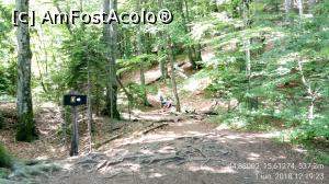 [P39] Parcul National Lacurile Plitvice.  » foto by Aurici
 - 
<span class="allrVoted glyphicon glyphicon-heart hidden" id="av1026552"></span>
<a class="m-l-10 hidden" id="sv1026552" onclick="voting_Foto_DelVot(,1026552,412)" role="button">șterge vot <span class="glyphicon glyphicon-remove"></span></a>
<a id="v91026552" class=" c-red"  onclick="voting_Foto_SetVot(1026552)" role="button"><span class="glyphicon glyphicon-heart-empty"></span> <b>LIKE</b> = Votează poza</a> <img class="hidden"  id="f1026552W9" src="/imagini/loader.gif" border="0" /><span class="AjErrMes hidden" id="e1026552ErM"></span>