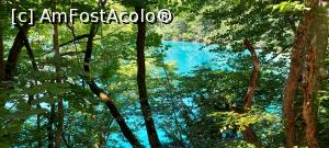 [P35] 35. Penultimul dintre „lacurile de sus”, Ciginovac Jezero. » foto by msnd
 - 
<span class="allrVoted glyphicon glyphicon-heart hidden" id="av1261117"></span>
<a class="m-l-10 hidden" id="sv1261117" onclick="voting_Foto_DelVot(,1261117,412)" role="button">șterge vot <span class="glyphicon glyphicon-remove"></span></a>
<a id="v91261117" class=" c-red"  onclick="voting_Foto_SetVot(1261117)" role="button"><span class="glyphicon glyphicon-heart-empty"></span> <b>LIKE</b> = Votează poza</a> <img class="hidden"  id="f1261117W9" src="/imagini/loader.gif" border="0" /><span class="AjErrMes hidden" id="e1261117ErM"></span>