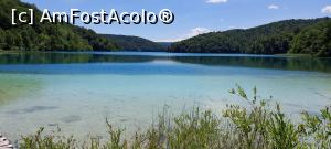 [P36] 36. Suntem cu 101 m mai sus decât locul unde ne-a lăsat vaporașul, pe malul Prošćansko Jezero. » foto by msnd
 - 
<span class="allrVoted glyphicon glyphicon-heart hidden" id="av1261118"></span>
<a class="m-l-10 hidden" id="sv1261118" onclick="voting_Foto_DelVot(,1261118,412)" role="button">șterge vot <span class="glyphicon glyphicon-remove"></span></a>
<a id="v91261118" class=" c-red"  onclick="voting_Foto_SetVot(1261118)" role="button"><span class="glyphicon glyphicon-heart-empty"></span> <b>LIKE</b> = Votează poza</a> <img class="hidden"  id="f1261118W9" src="/imagini/loader.gif" border="0" /><span class="AjErrMes hidden" id="e1261118ErM"></span>